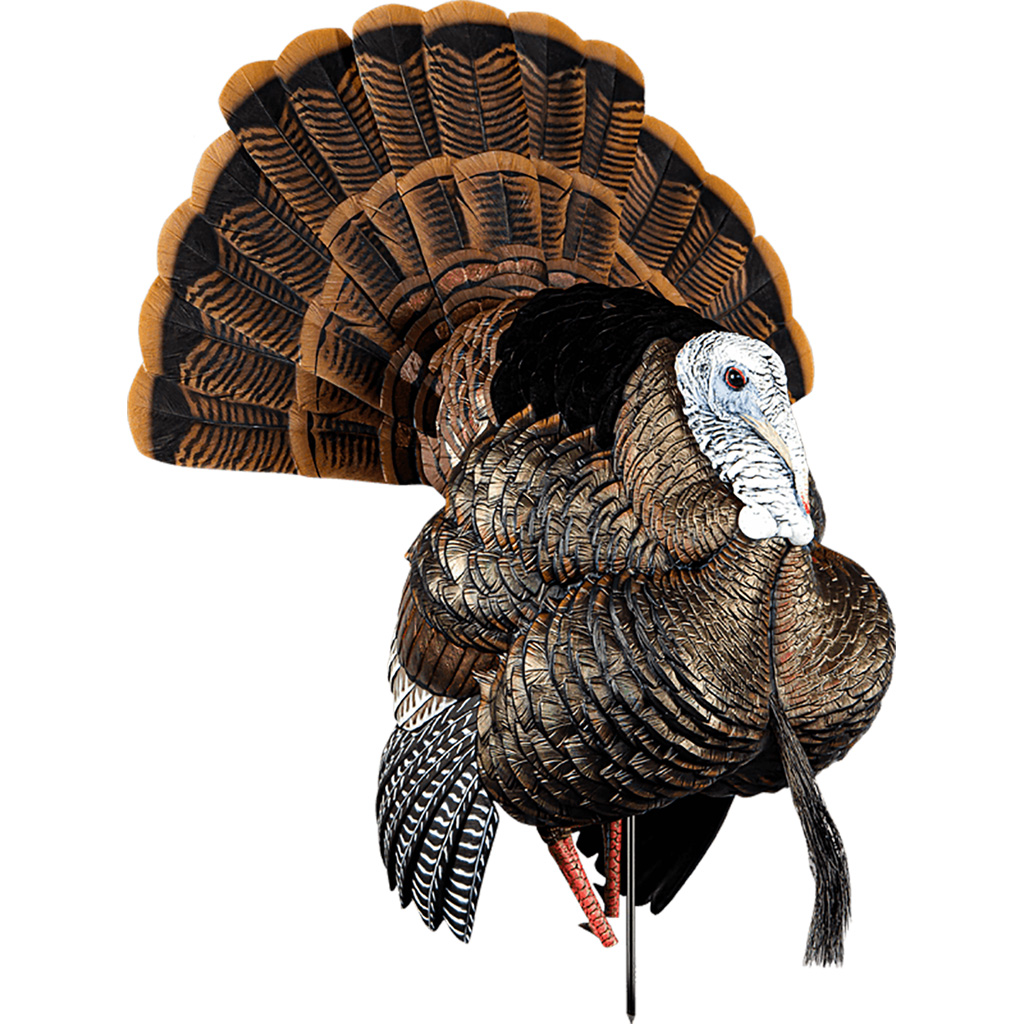Avian X Hdr Strutter Decoy - Image 2