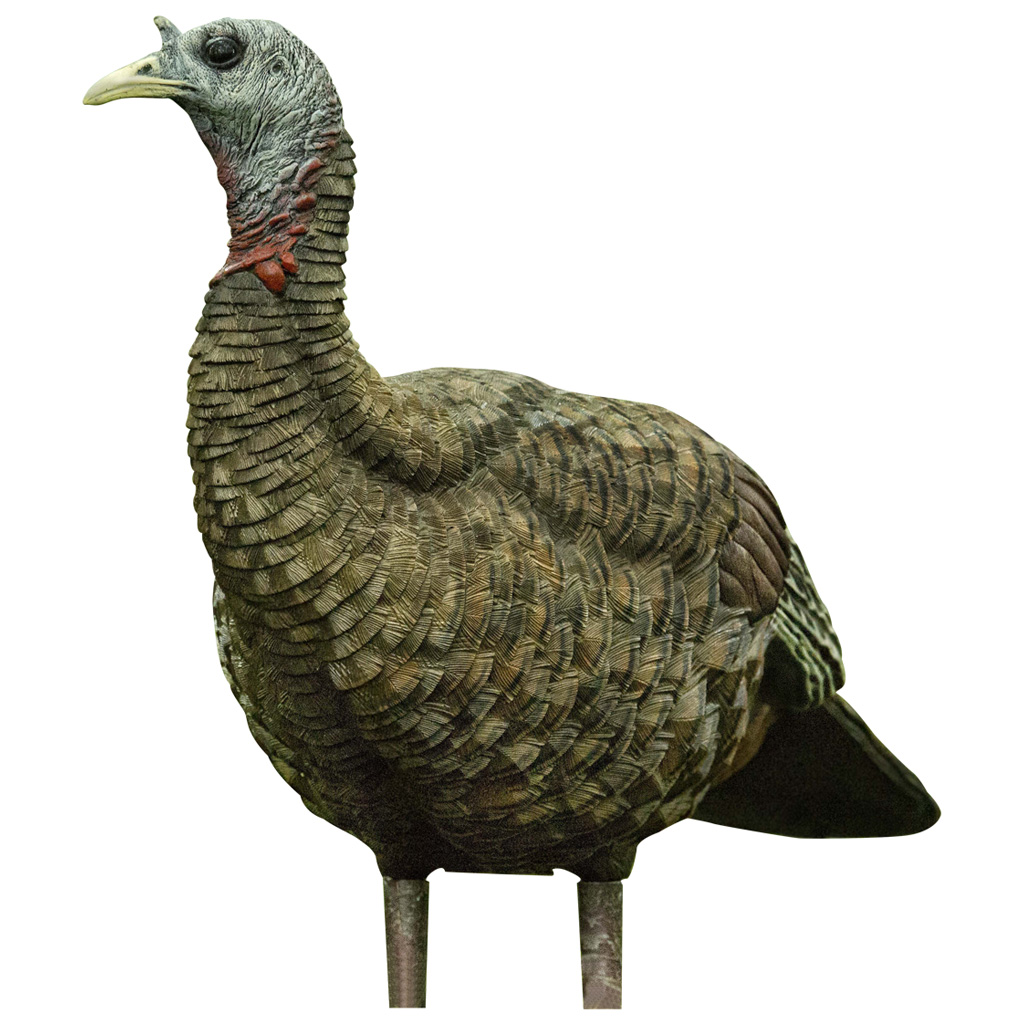 Avian X Lookout Turkey Decoy - Image 2