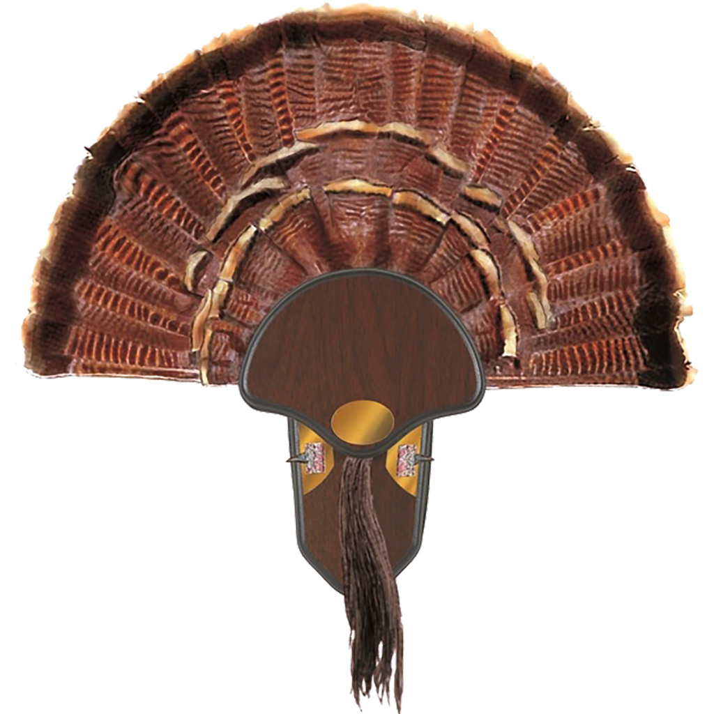 Allen Turkey Tail Mounting Kit - Image 2