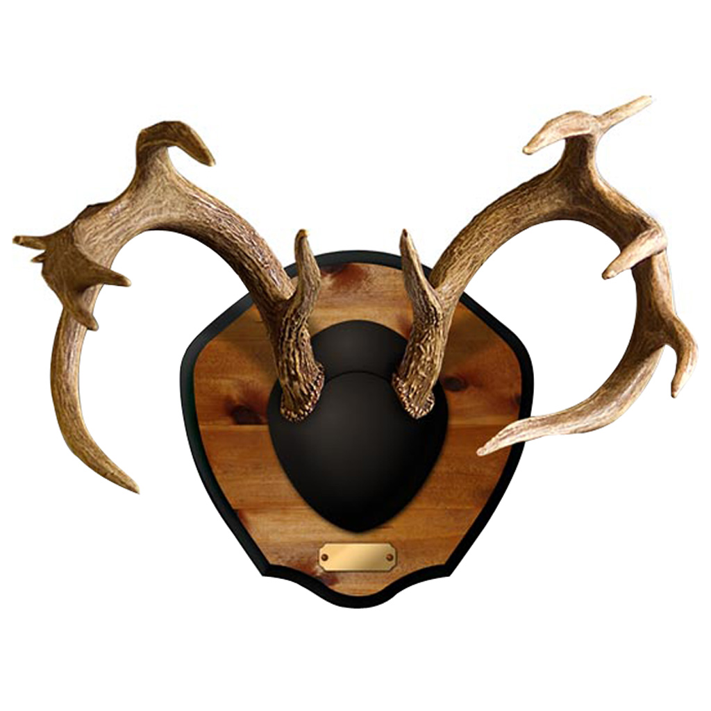 Mountain Mikes Plaque Master Deer Kit - Image 2