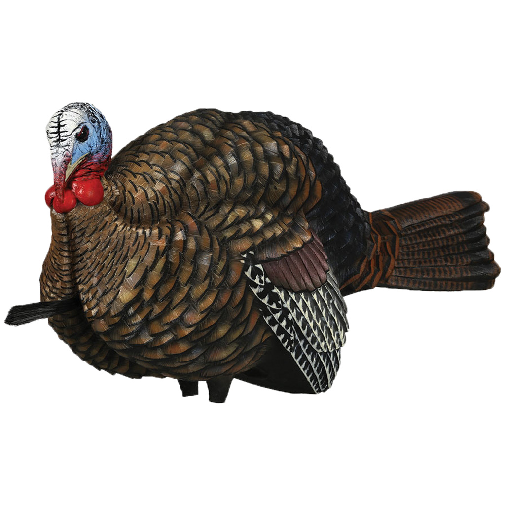 Avian X 1-2 Strut Jake Turkey Decoy - Image 2