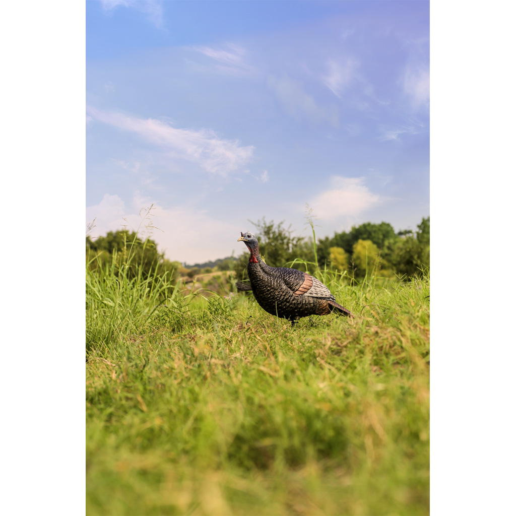 Flextone Thunder Jake Turkey Decoy - Image 2