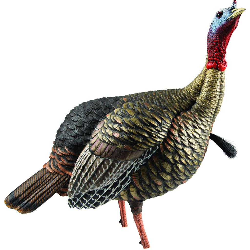 Avian X Hdr Jake Decoy - Image 2