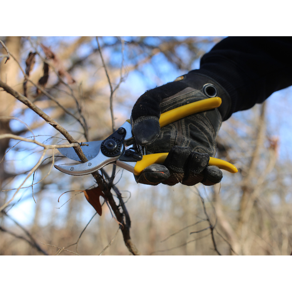 Wicked Hand Pruner - Image 2