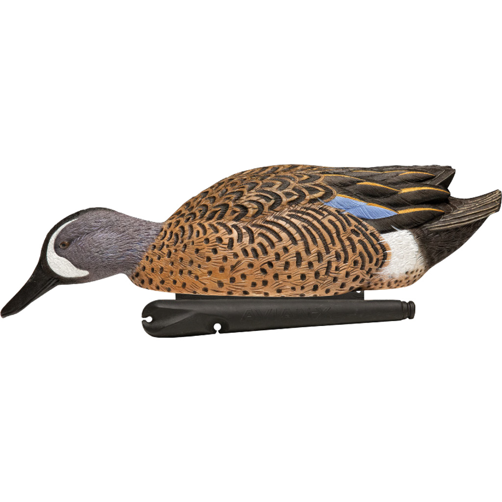 Avianx Top Flight Duck Decoys Blue-winged Teal 6 Pk. - Image 2