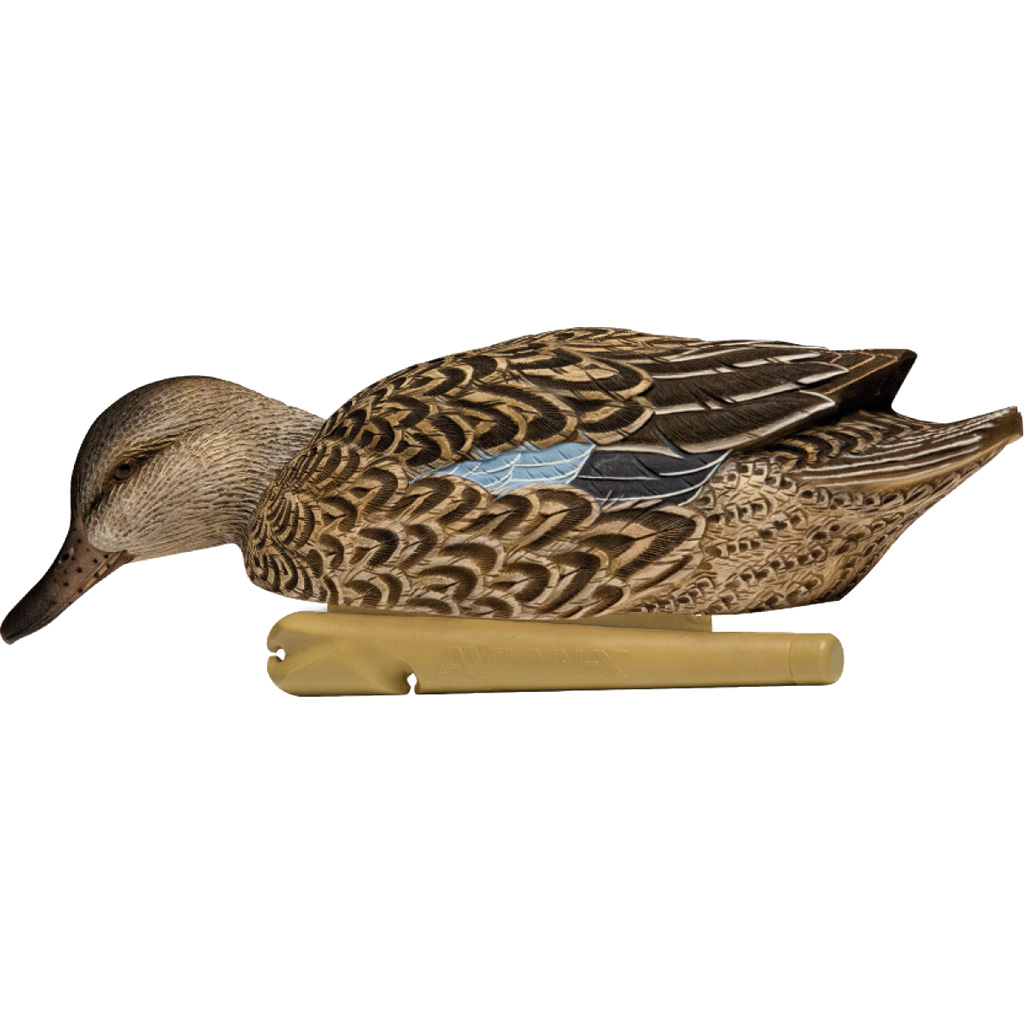 Avianx Top Flight Duck Decoys Blue-winged Teal 6 Pk. - Image 3