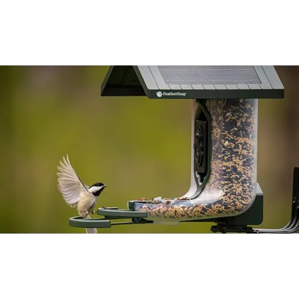 Tactacam Feathersnap Scout Bird Feeder Version 1 - Image 2