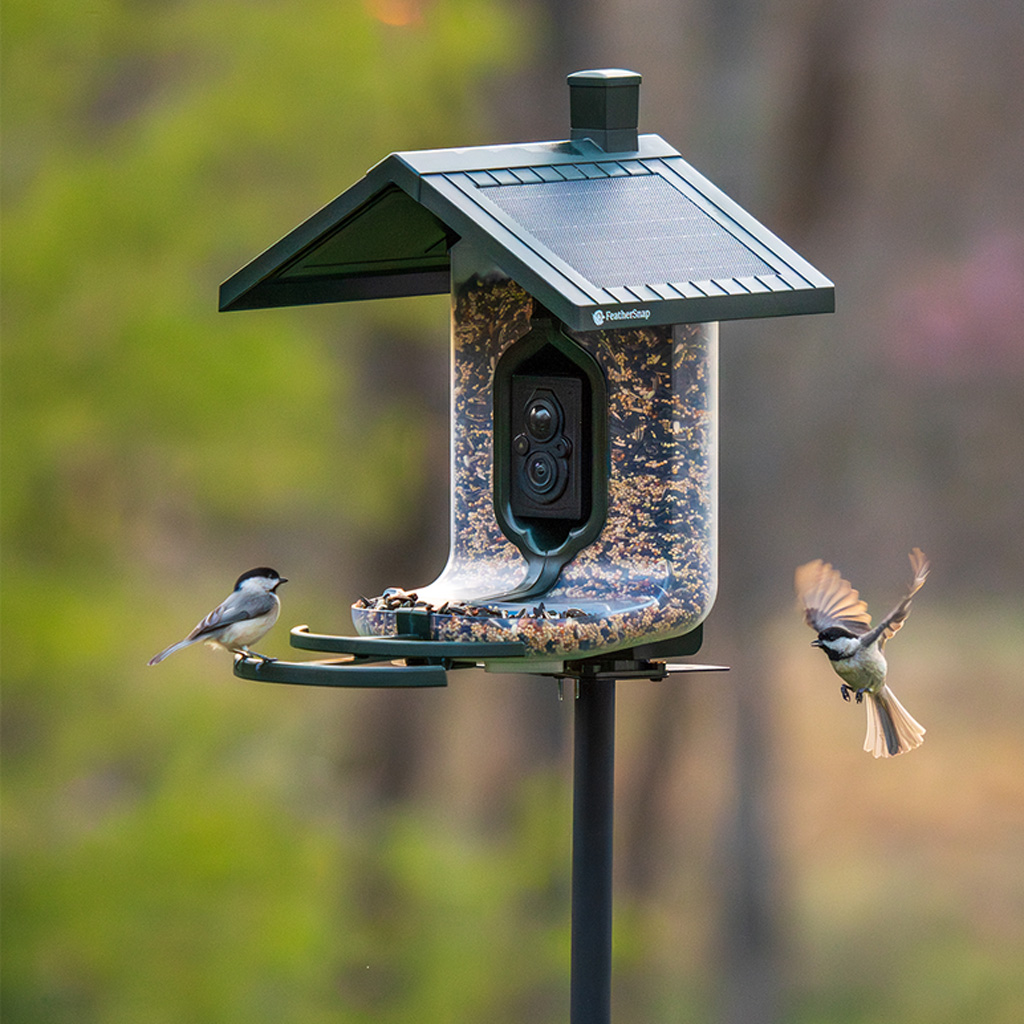 Tactacam Feathersnap Scout Bird Feeder Version 1 - Image 3