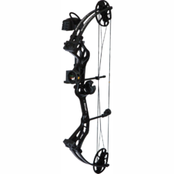 Bear Shootout Rth Bow Package Black 50 Lbs. Rh
