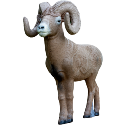 Rinehart ? Scale Signature Bighorn Sheep Target
